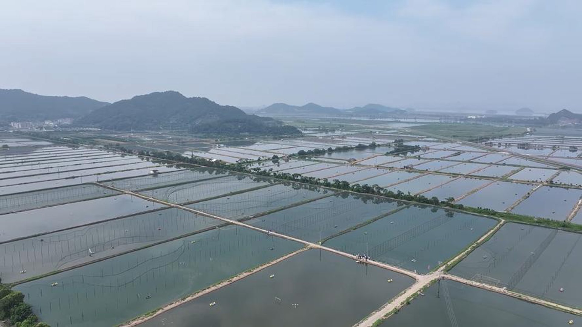 象山西周水产